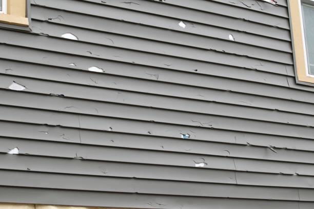 Professional Siding in Lumberton, TX