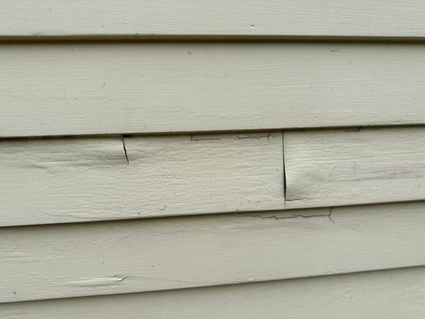 How To Choose The Right Materials for Your Siding Installation in 'Lumberton, TX